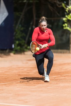 Bild 491 - BL DTV Hannover - BW Dresden Blasewitz : Ergebnis: 2:7